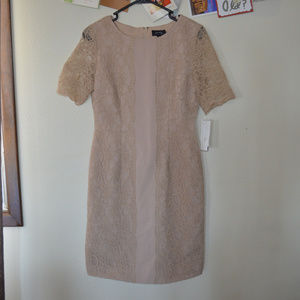 NWT Tahari ASL Blush Pink Lace Dress Size 4 $139